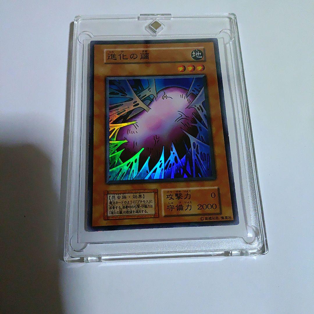 初期の進化の繭セット