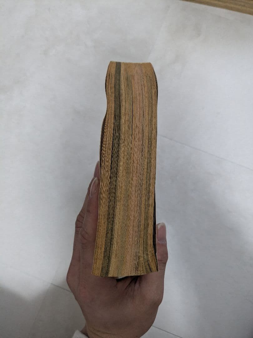 ANIMAL HOUSE 1990年11月号 ベルセルク掲載号