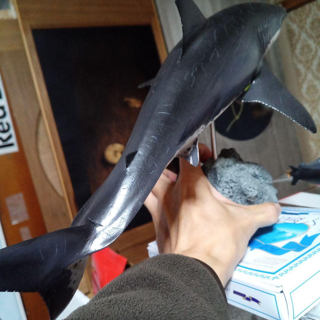 サメ　模型　ホホジロザメ　超絶モデル