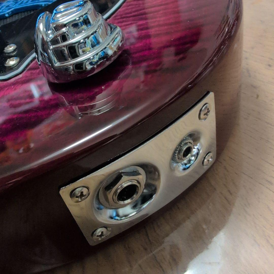 Pignose PGG-200 ピグノーズ アンプ内蔵 美品！