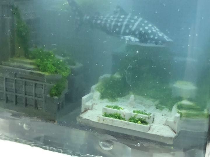 水没ジオラマ　廃墟ビルに泳ぐジンベイザメ