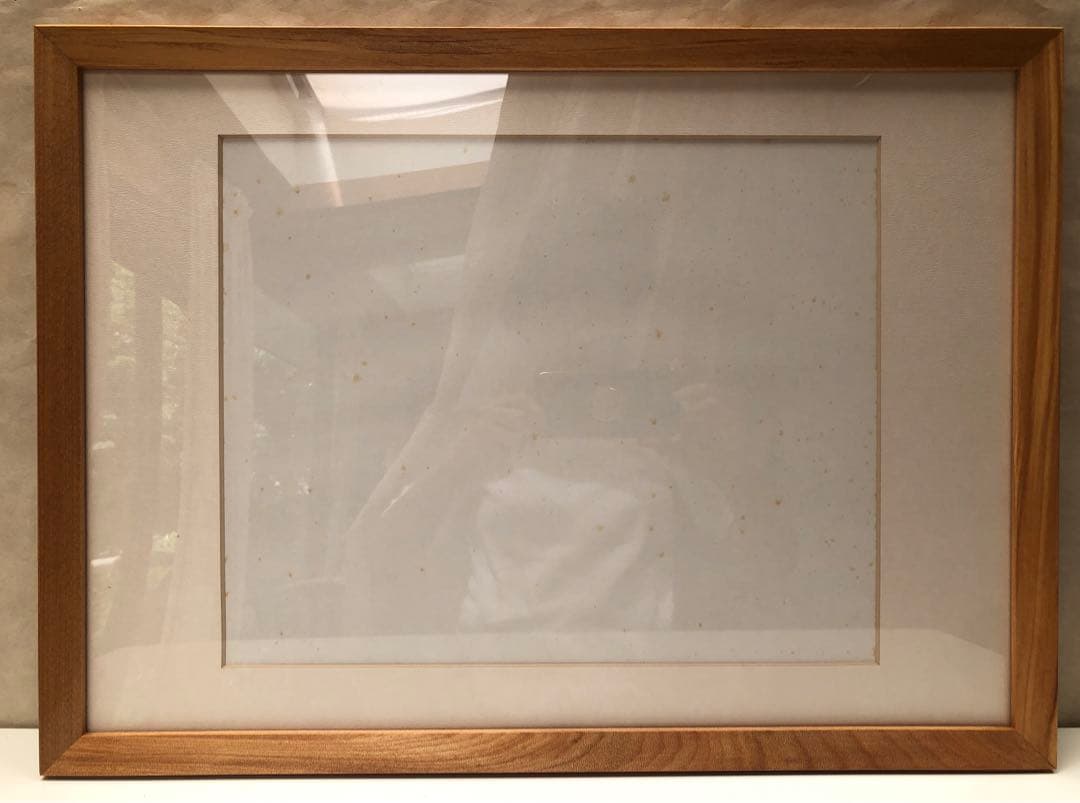 リン・スターム・レヴィ画集 相撲の世界