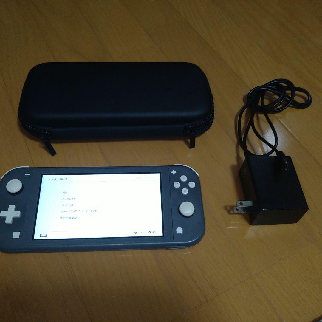 Nintendo Switch Lite グレー 充電器・ケース付き