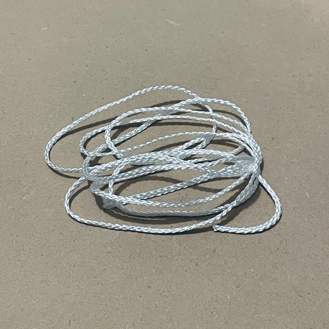 特注額装付き アニカ・エリザベス・フォン・ハウスヴォルフ 展覧会ポスター