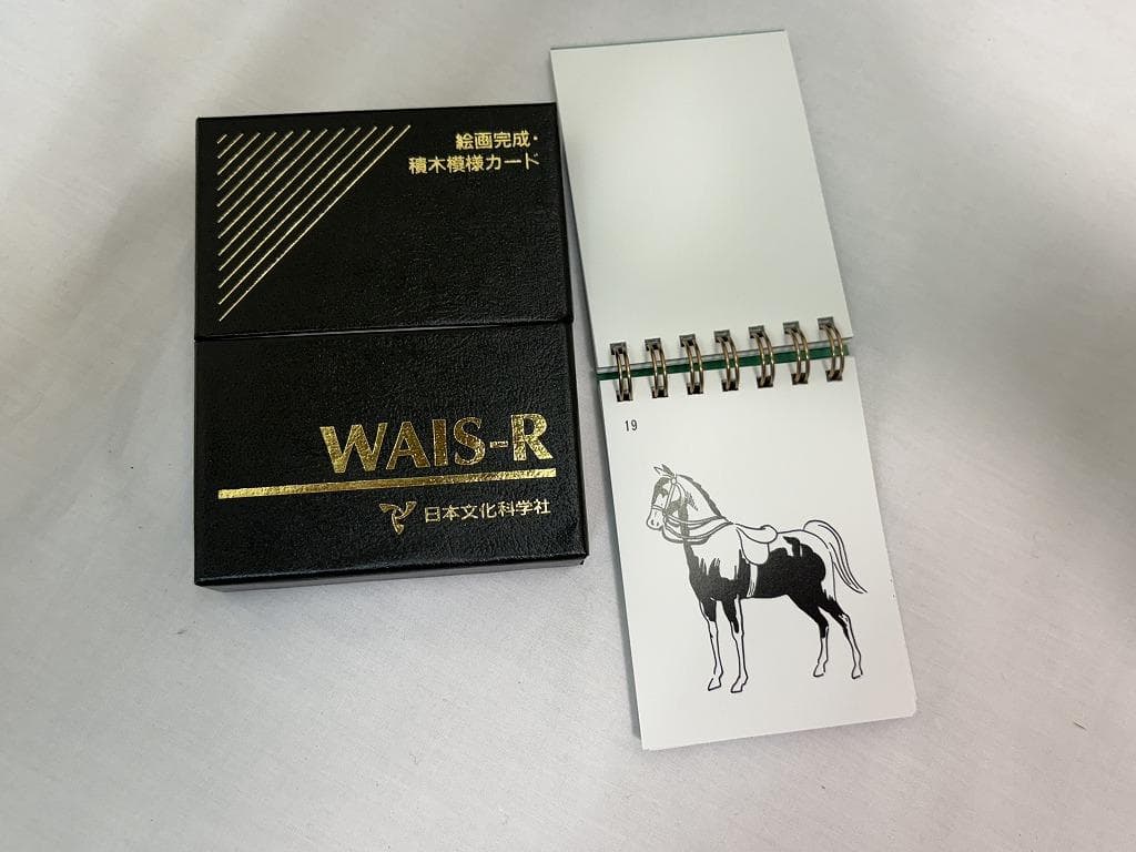 t*n様 日本文化科学社 成人知能検査 WAIS-R 積木 絵画 配列 組み合せ