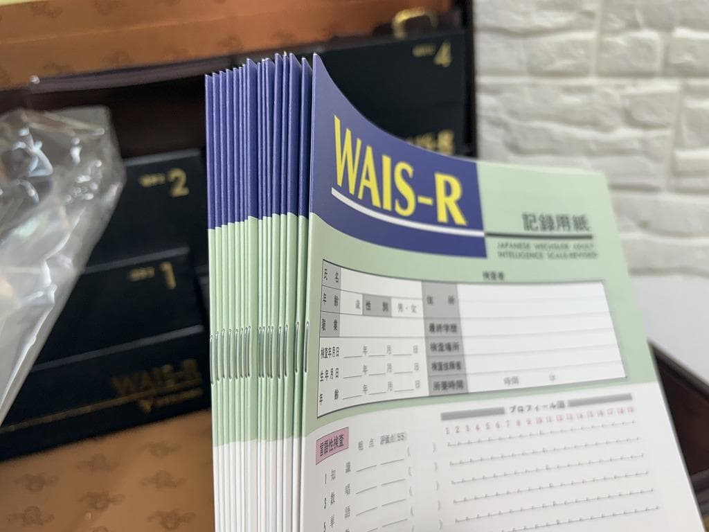 t*n様 日本文化科学社 成人知能検査 WAIS-R 積木 絵画 配列 組み合せ