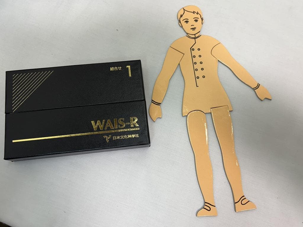 t*n様 日本文化科学社 成人知能検査 WAIS-R 積木 絵画 配列 組み合せ