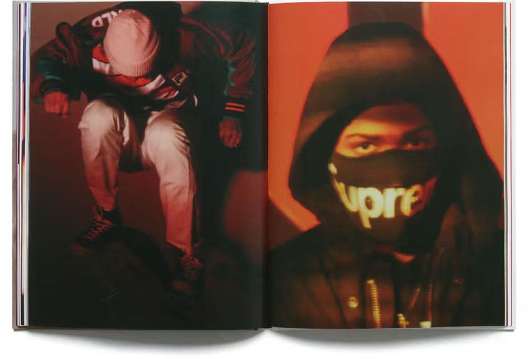 アート・デザイン・音楽 David Sims for Supreme book 2015FW