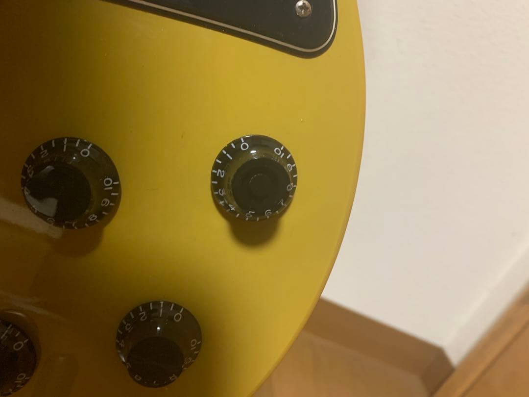 Epiphone Les Paul Special ケース 付