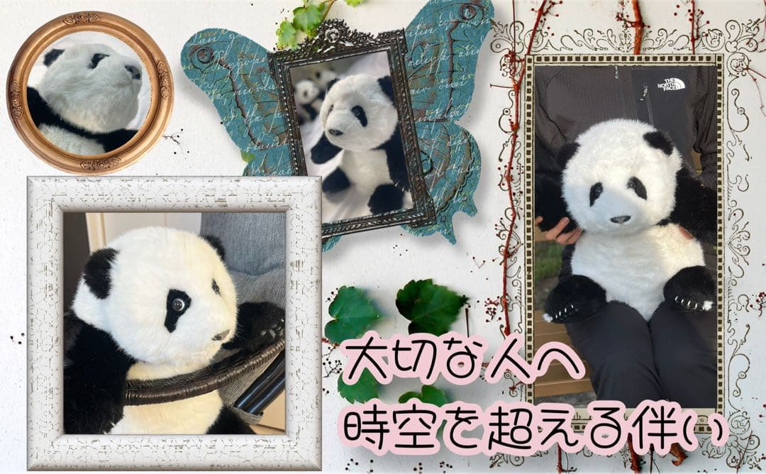 パンダ　リアルで癒される！5ヶ月齢パンダ ぬいぐるみ登場 ファファ まるで本物！