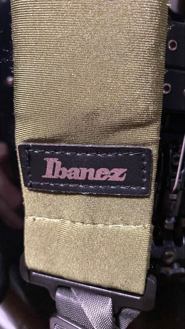 8弦　Ibanez RG Prestige RG2228A