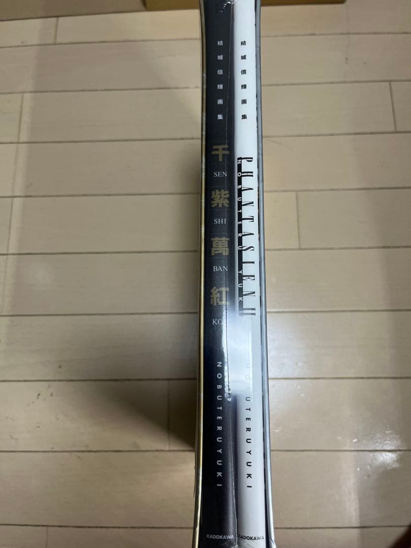 結城信輝画集 千紫萬紅　未開封