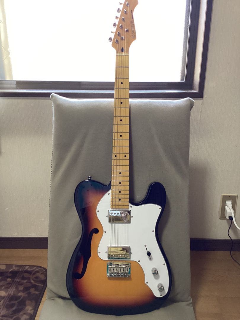 donner テレキャスター シンライン エレキギター ２ハムバッカー