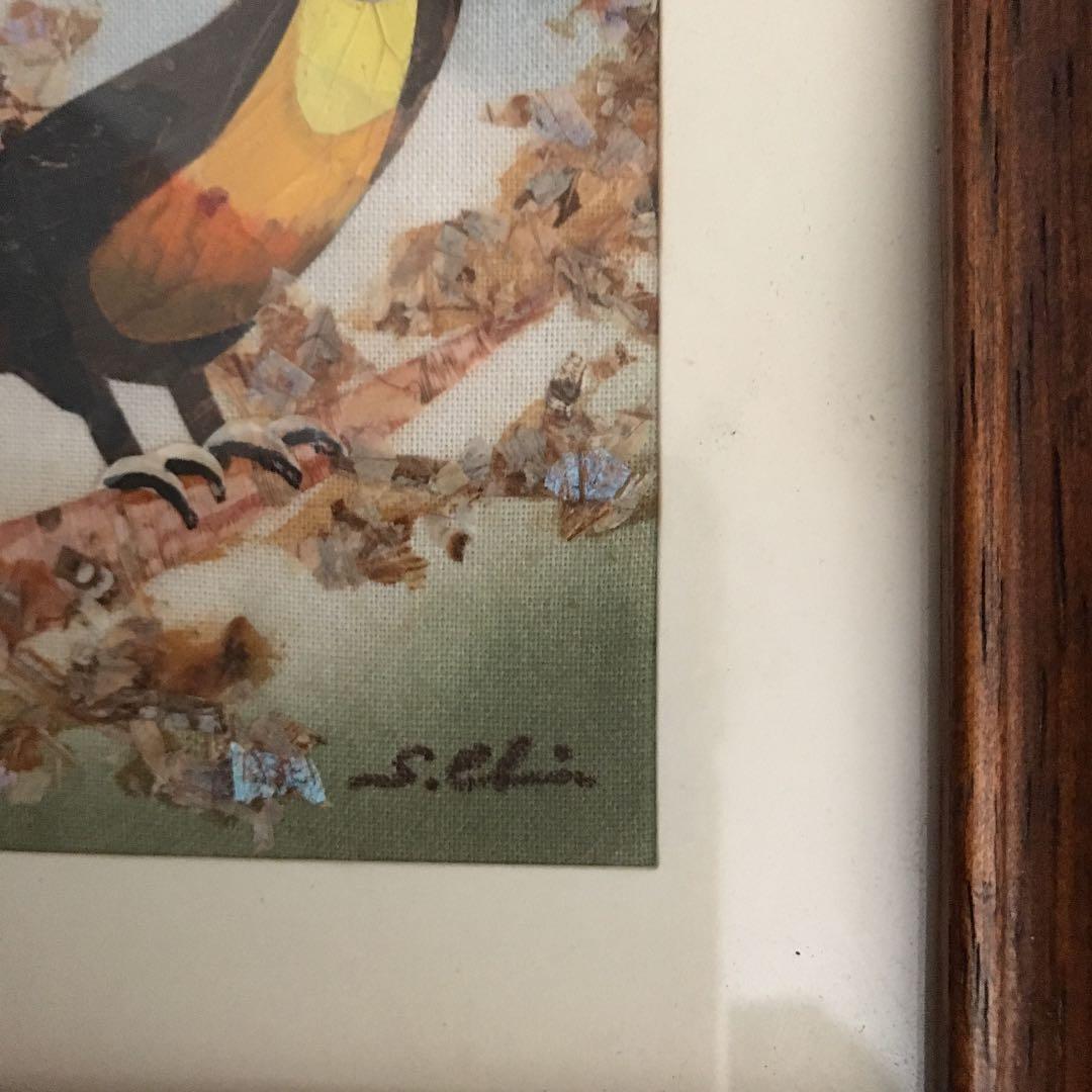 Shuya Chiba (千葉修也)  蝶画Toucan Bird (オオハシ)