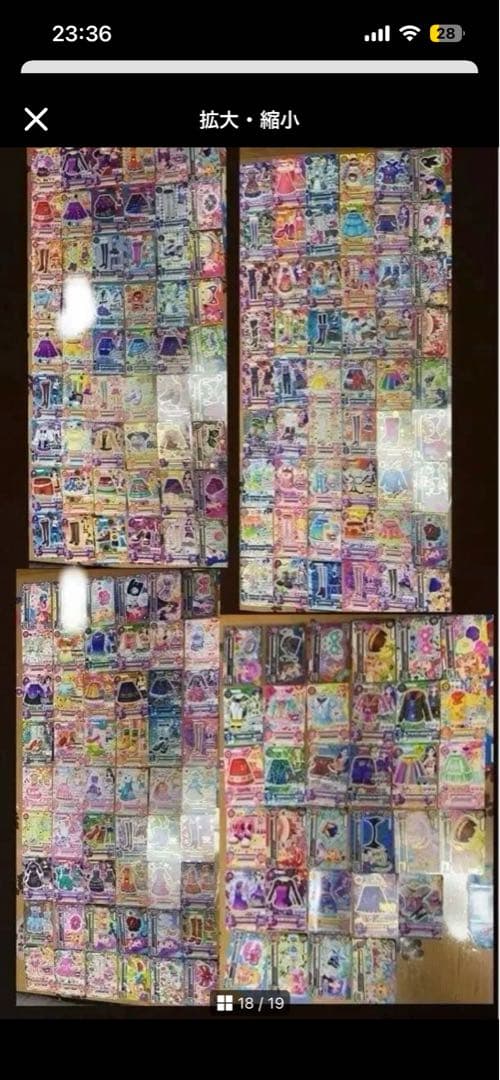 シャムタビー✨