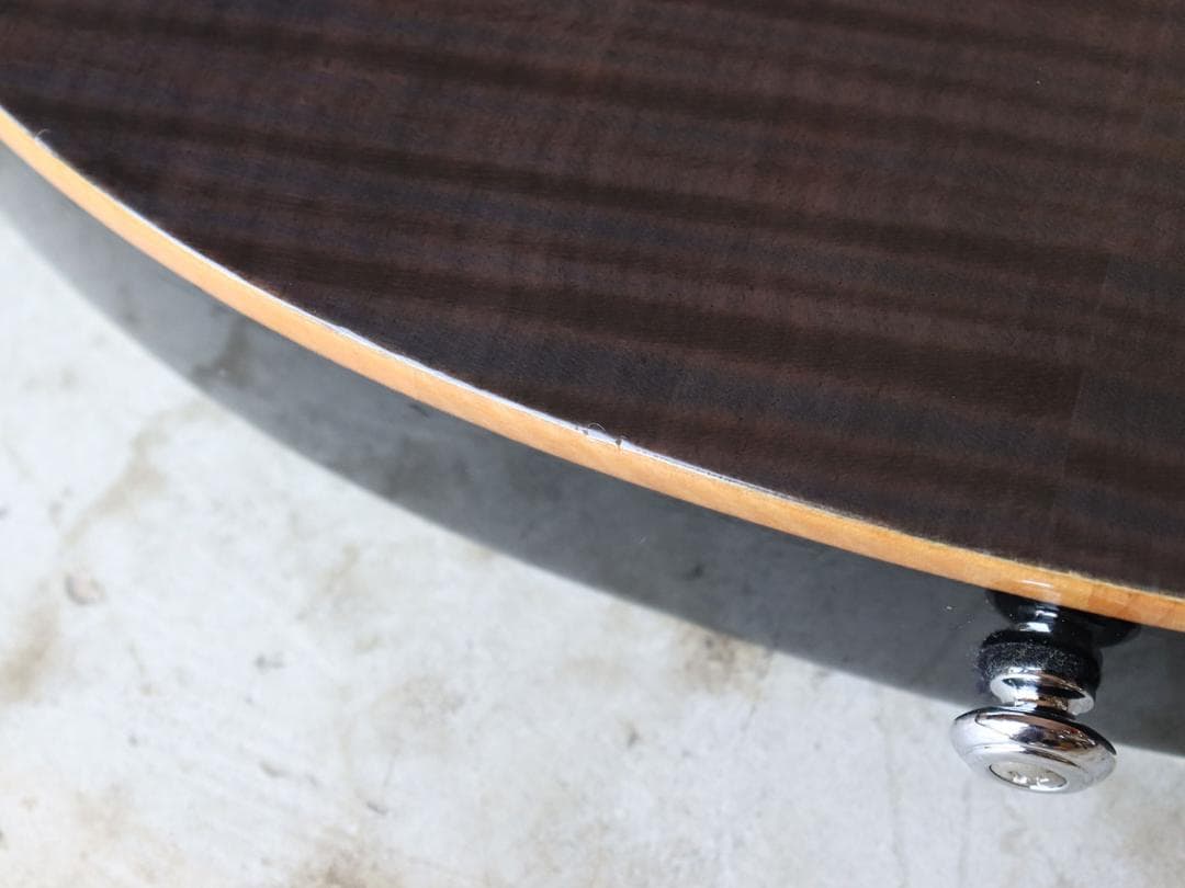 Paul Reed Smith SE Custom 24 フラットトップ