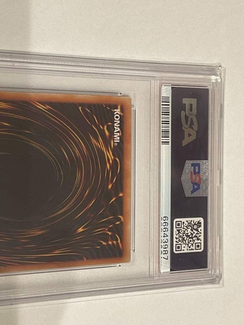 レッドアイズ・ダークネス・ドラゴン PSA10 レリーフ　真紅眼の闇竜