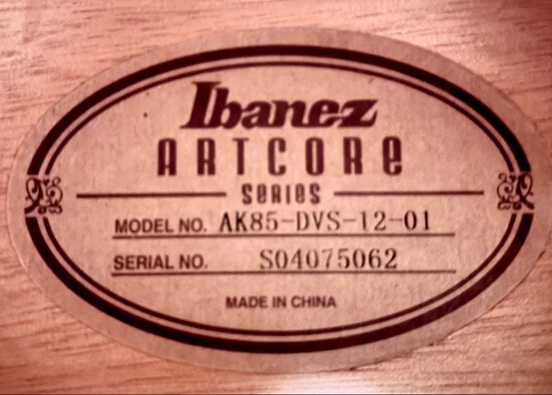 【新品弦張替済】Ibanez フルアコ AK85-DVS ARTCOREシリーズ