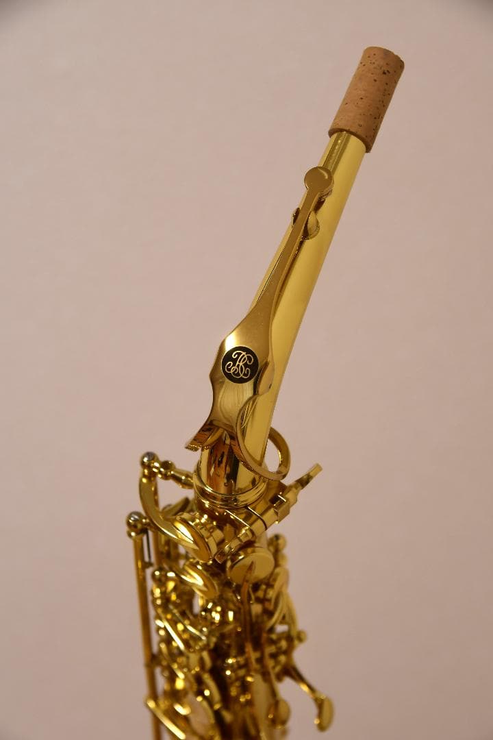 【新品・未使用品】Buffet Crampon アルトサックス Prodige