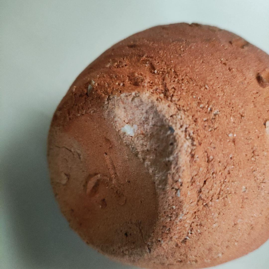 杉本貞光　寺垣外窯　信楽左馬徳利ぐい呑　信楽焼