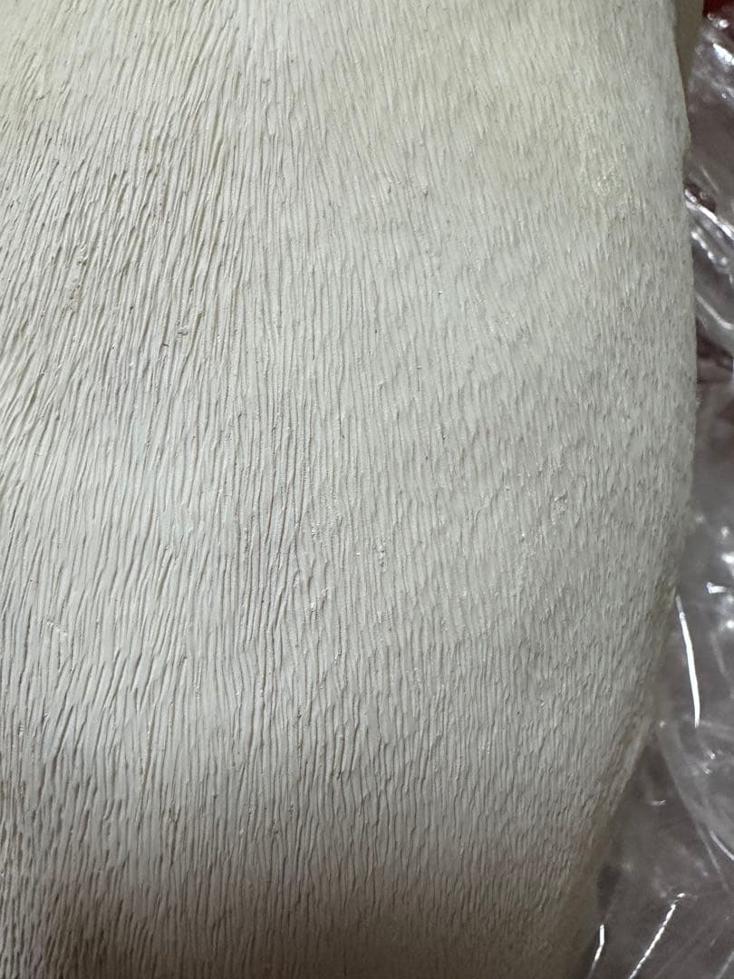 新品！ブルテリア　犬　置物　オブジェ