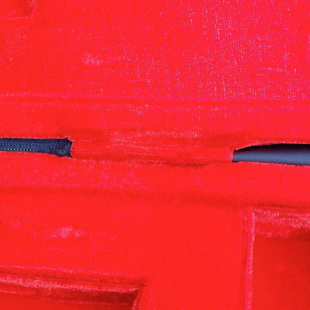 【訳あり】中国 弦楽器 二胡 ハードケース付き 蛇皮 弦楽器