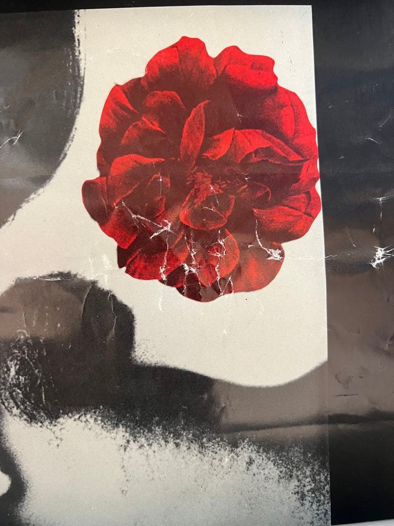 90sレッチリvtg USオリジナル販促用ポスター