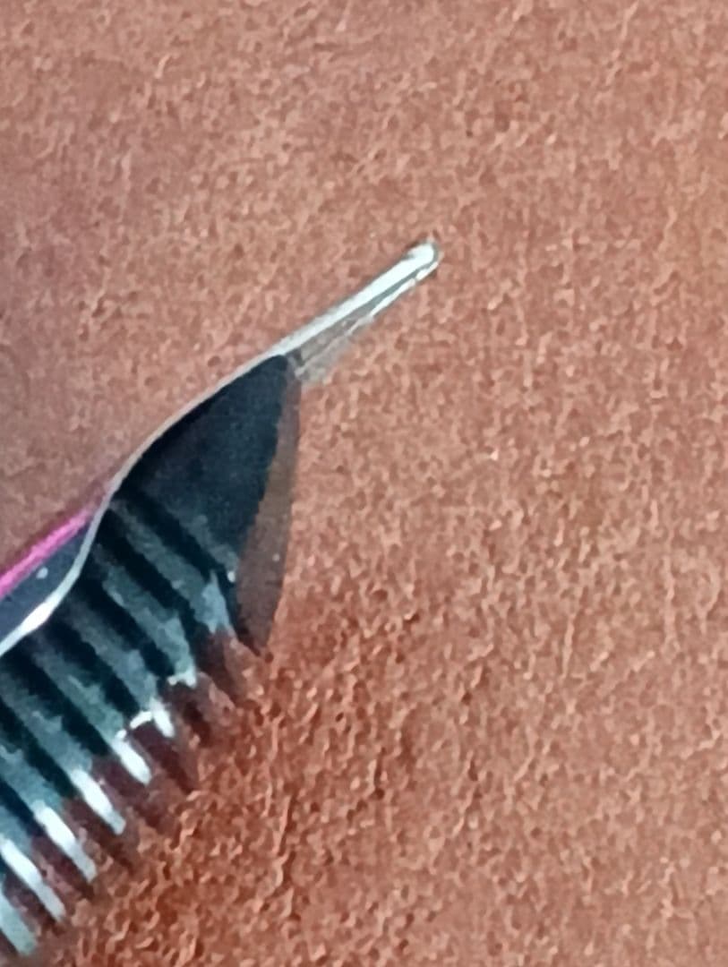 ペリカン　鉄ペン　吸引式　EF ヒナ２羽