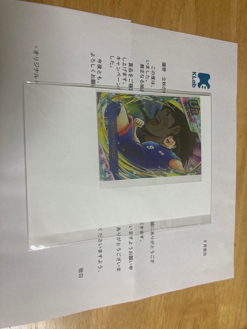 キャプテン翼　たたかえドリームチーム　カード　日向小次郎