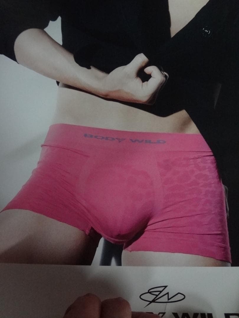 成宮寛貴　GUNZE BODY WILD イメージモデル 非売品ポスター