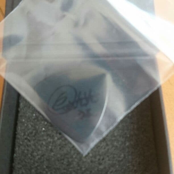 サイン入りピック 岡野昭仁 ポルノグラフィティ