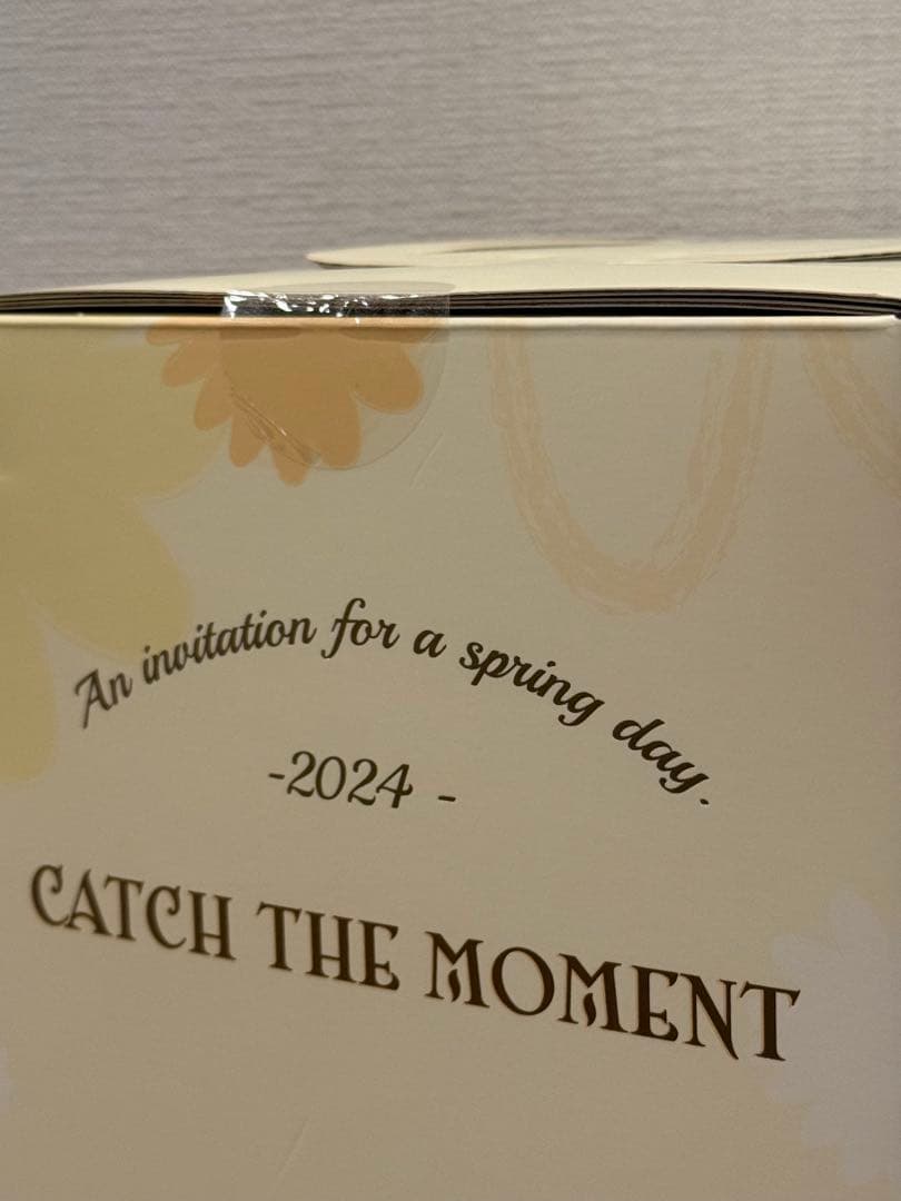 ぬいぐるみ LABUBU MOKOKO FALL INTO SPRING POPMART