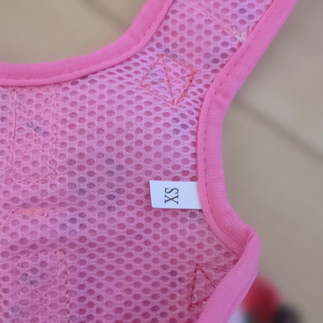 ハーネスとニット犬服猫用セット XS