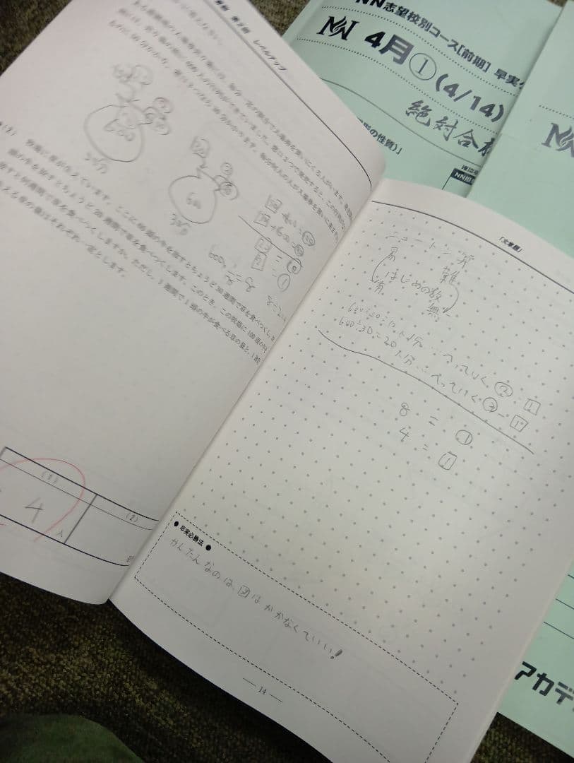 早稲田アカデミーNN早実　前期後期/日特/土特/夏期/正月/直前/副教材2024