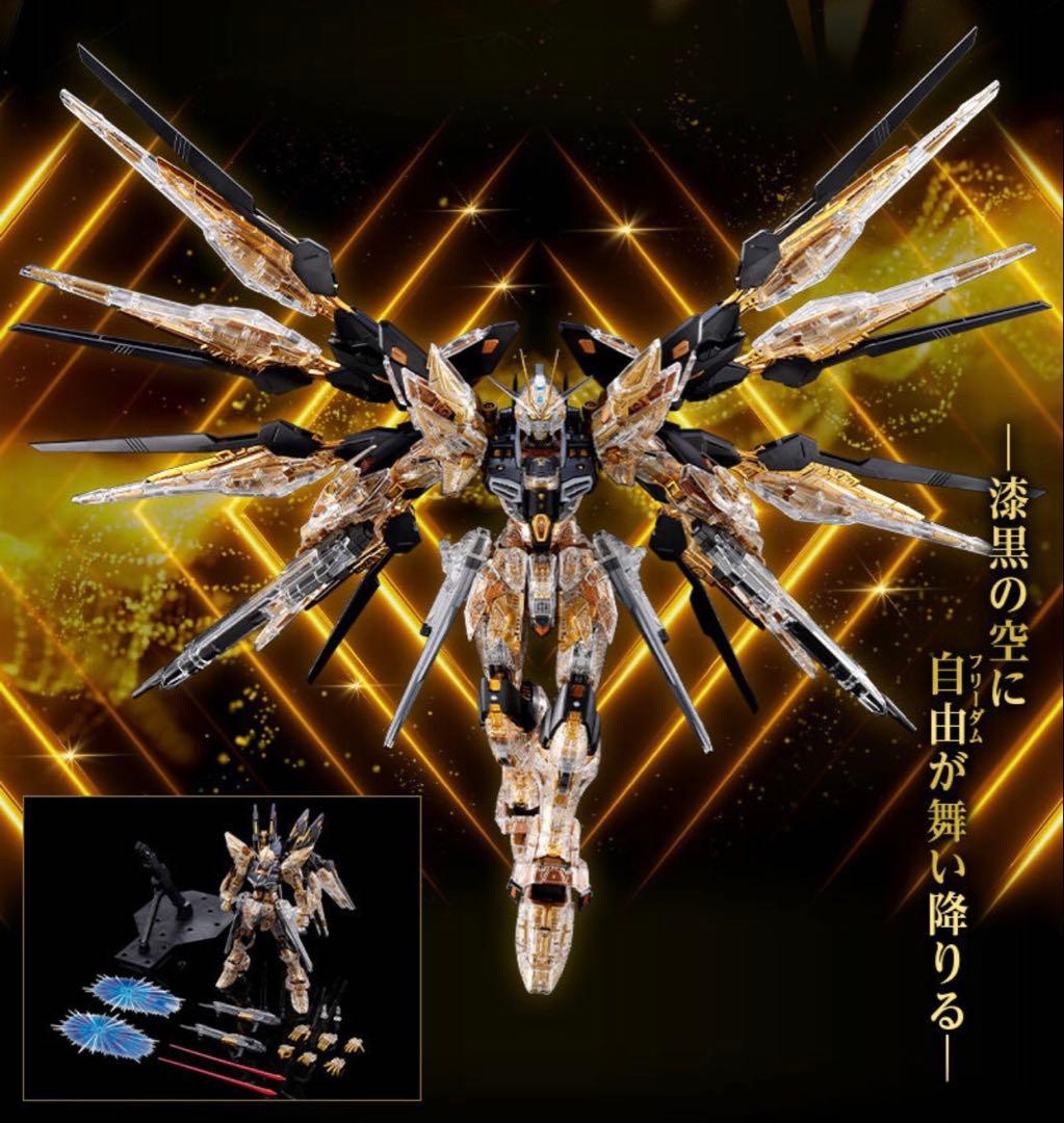即日発送　MGEX 1/100 ストライクフリーダムガンダム メカニカルクリア
