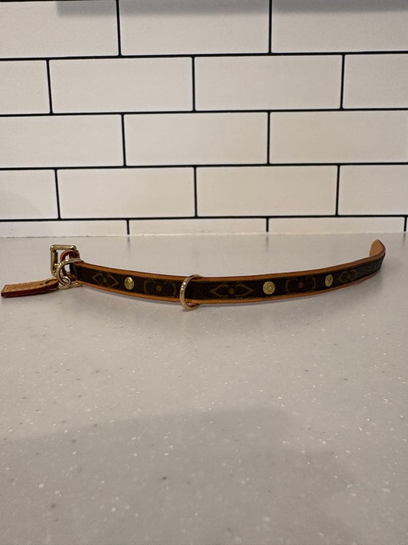 LOUIS VUITTON 小型犬用　リードセット