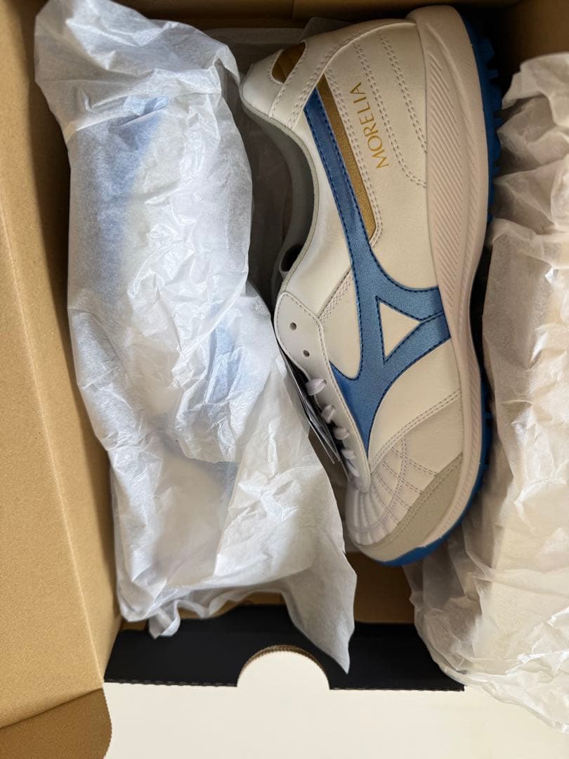 MIZUNO モレリアサラ　TF 25㎝　sala