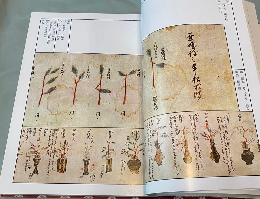 「池坊歴代家元花伝」　華道 池坊　専門書