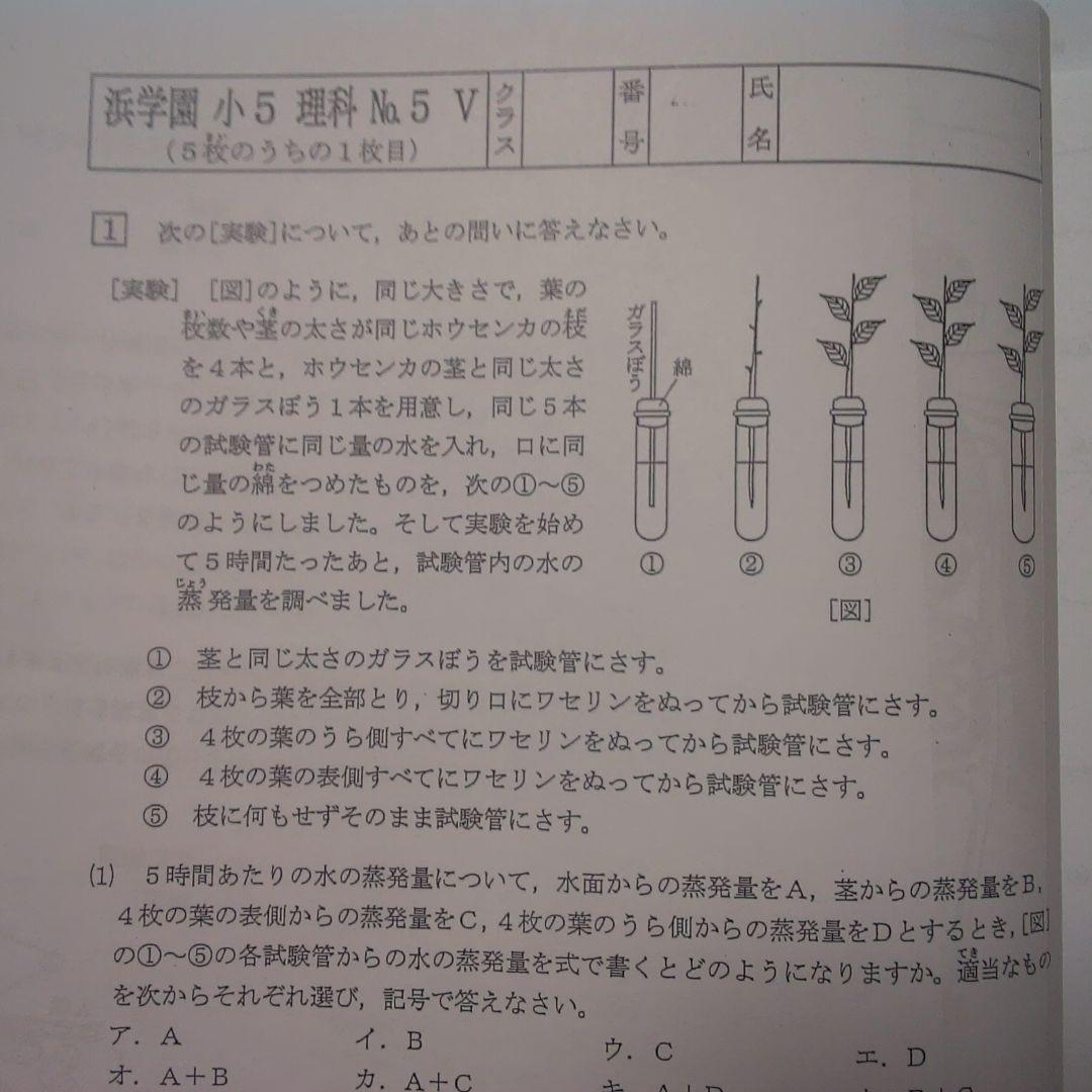 まるえもん