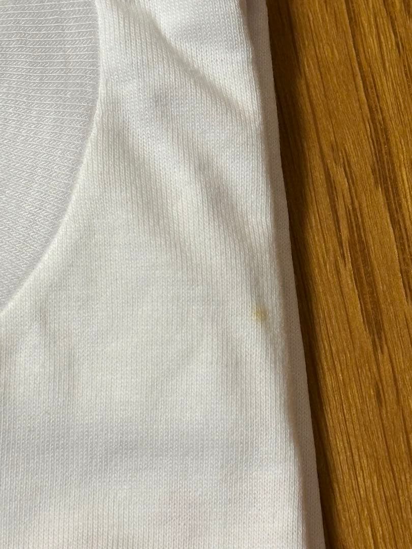 【希少】B'z TシャツLIVE-GYM pleasure95 稲葉浩志