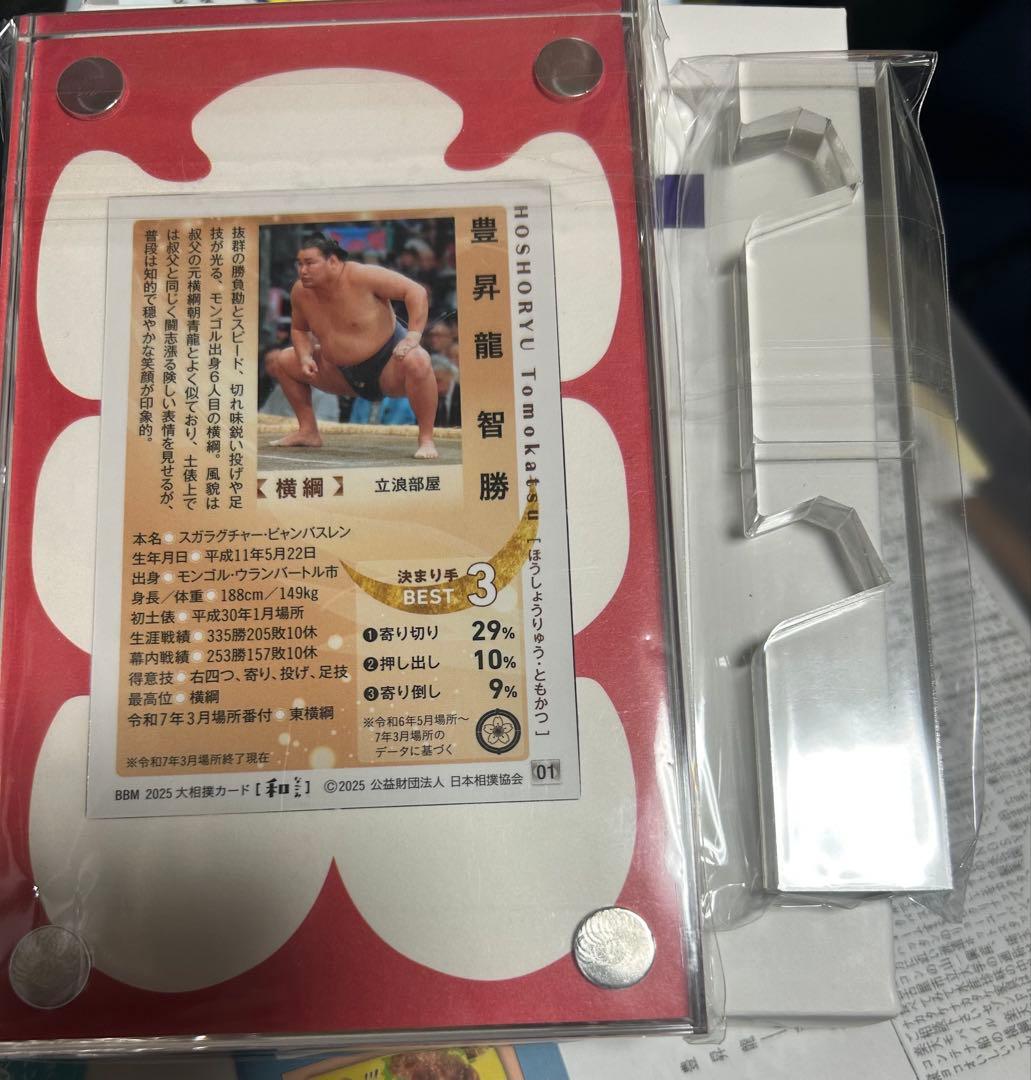 大相撲　豊昇龍　直筆サインカード