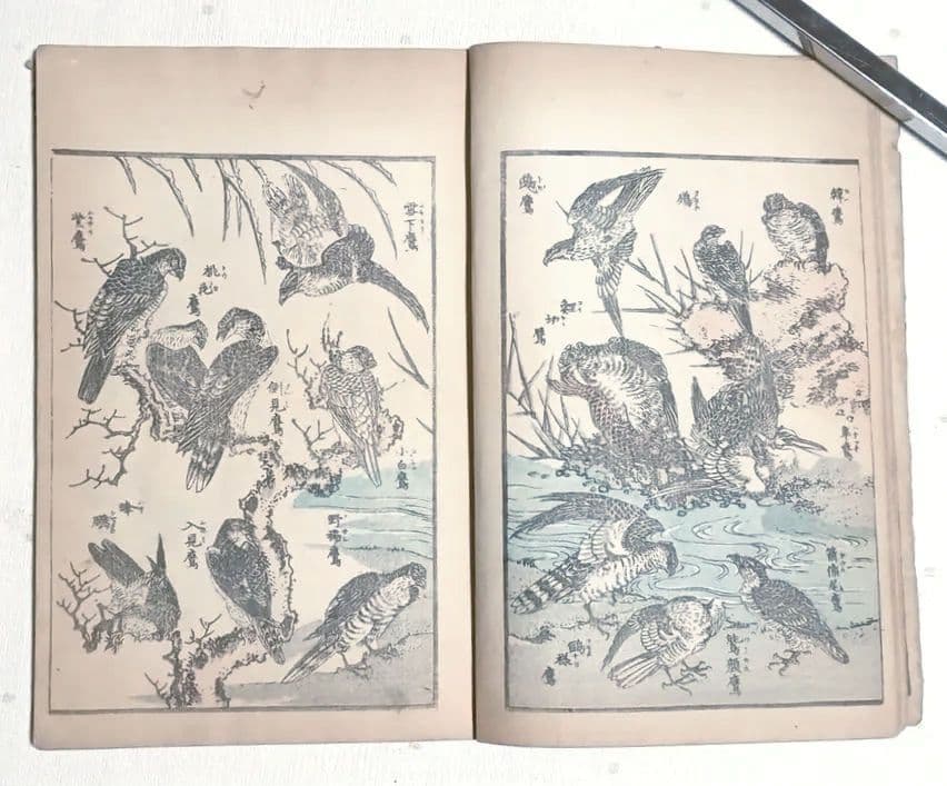 北斎画宛二編（色摺版画本)葛飾北斎画明治初期、後摺再板になります（初版は天保3年