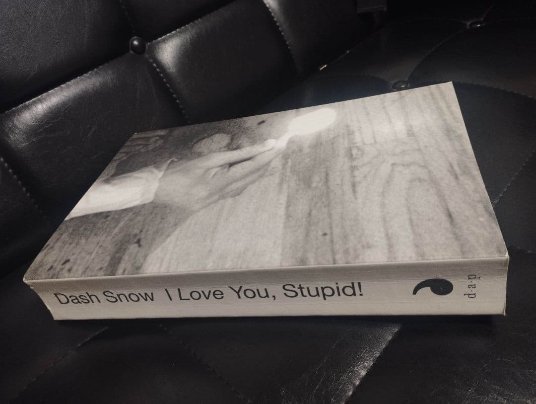 アート・デザイン・音楽 Dash  : I Love You, Stupid!