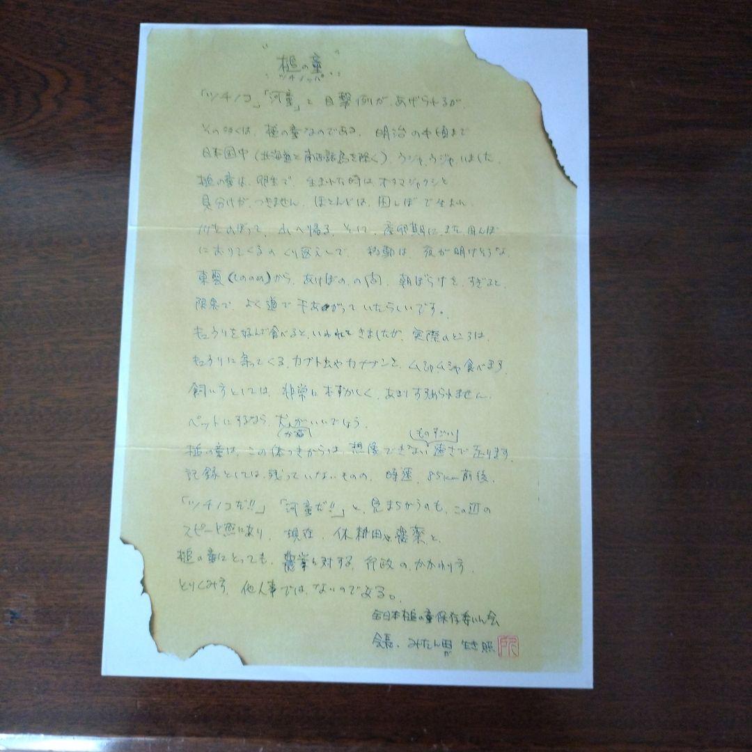 世田谷ベース　正式装備品　所ジョージ　ツチノッパ　フィギュア　緑色