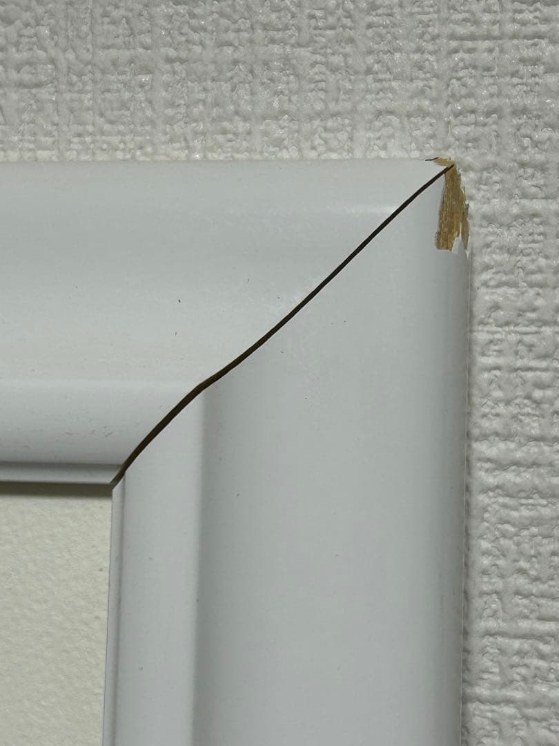 【最終値下】片桐雛太　鳰の海辺　アールビバン　アールジュネス　版画