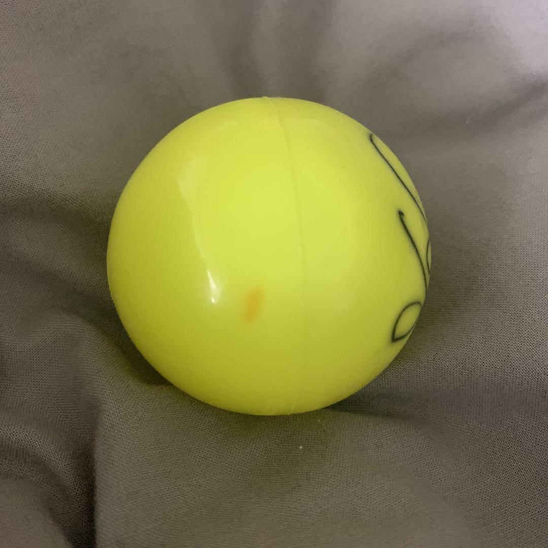 吉沢亮 2015年Seventeen学園祭 サインボール