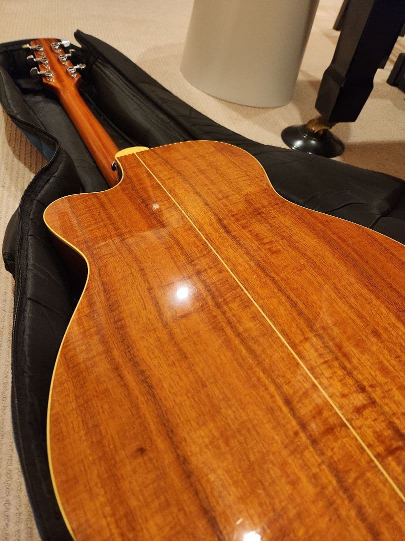 ギター Takamine PTU731KC N