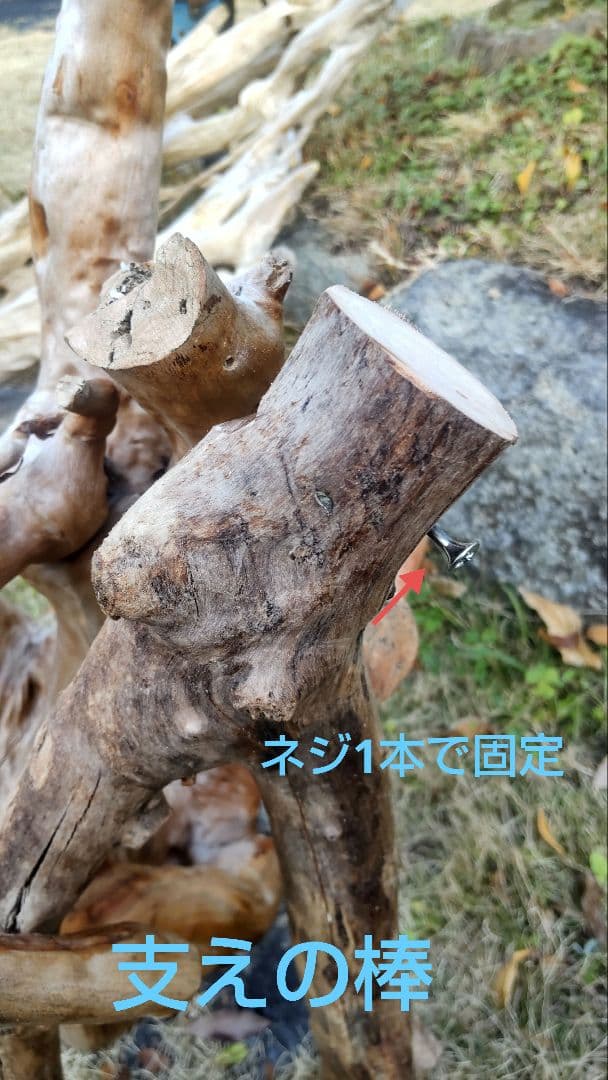 バードアスレチック　流木　インコ　鳥用止まり木