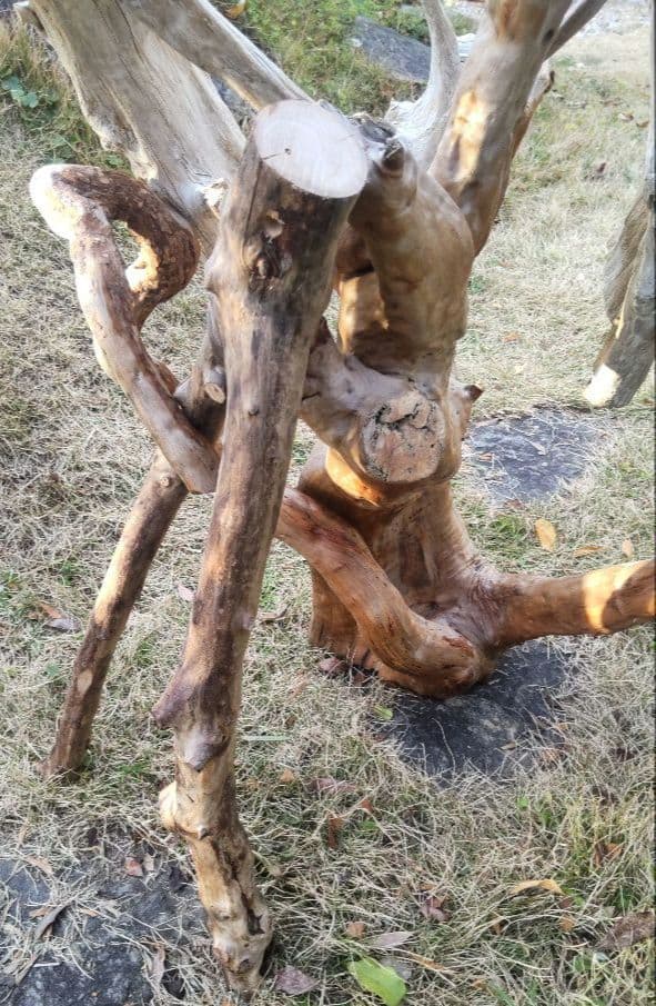 バードアスレチック　流木　インコ　鳥用止まり木