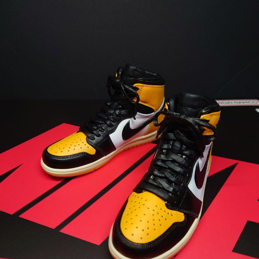 NIKE AIR JORDAN 1 MODEL KIT　塗装済み完成品　箱付き